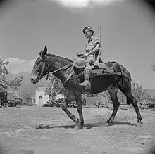 Fiches de cours de histoire destinée aux élèves de lycée. Animaux De Guerre Wikipedia