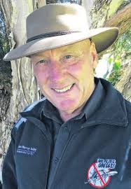 Ram raid at Bottle-O causes huge damage