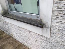 Immagini idea di rivestimenti esterni per ville con rifiniture esterne villette e casaguidolin pertaining to eccezionale colori pietra d. Esterni Rinnovare Con La Pietra