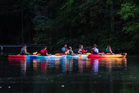 If you are looking to get a kayak for an special time of the year or any particular season then i would recommend you to buy it before the start of the season you may steal the deal. Quiz What Kayak Should You Buy Paddling Magazine