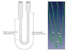 Henle loop, henle's loop, loop henle. The Loop Of Henle Deranged Physiology