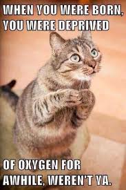 Sometimes I Want To Ask Some People That Same Question Funny Sports Pictures Funny Pictures Dump A Day