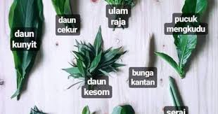 Anak yatim, tembikai dan sambal udang petai. Kenali Jenis Jenis Ulam Yang Kita Selalu Makan Informasi Santai