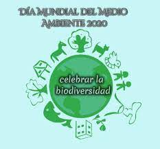 Cx36 en el día mundial del medio ambiente, 5 de junio de 2020. Dia Mundial Del Medio Ambiente 5 De Junio De 2020 Cefire Especific D Ambit Cientific Tecnologic I Matematic