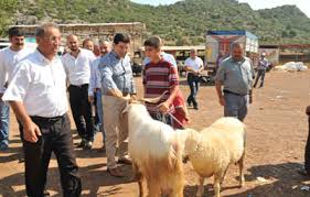 Kepez Belediyesi Haberler Kepez Den Antalya Ya Kurban Pazari