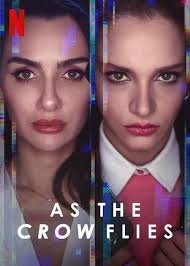 Can anyone recommended any Turkish movie