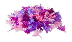 Fresh edible flowers near me. Wholesale Edible Flowers For Restaurants North American Meats Distributor