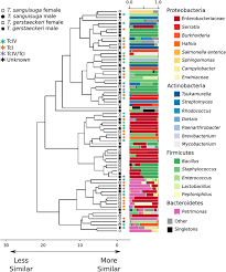 Patrick hausding und laura ludwig werden die deutsche fahne tragen. Frontiers Comparison Of The Bacterial Gut Microbiome Of North American Triatoma Spp With And Without Trypanosoma Cruzi Microbiology
