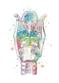 Larynx Medical Art Doctor Gift Medical Practice Clinical Decoration Ent Art Anatomy Art Human Body Watercolor 324 Medical Art Anatomy Art Illustration Print