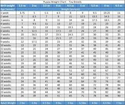 Toy Puppy Weight Chart Labradorpuppyweightchart Labrador