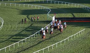 Horse racing tip for 2021. Cheltenham 2018 Tips Sky Sports Expert Alex Hammond Reveals Who To Back On Day Two Racing Sport Express Co Uk
