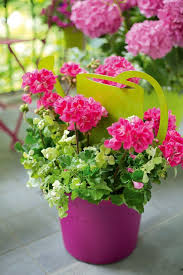 We did not find results for: Anti Moustiques Anti Guepes Quels Sont Les Insecticides Ecolos Cote Maison