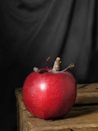 Pommes Oubliees 16 Varietes Anciennes De Fruits En 2020 Pomme Fruits Poire