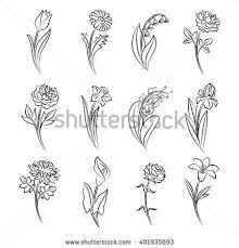 Collection Of Outlined Flowers Tulip Chamomile Lily Of The Valley Rose Peony Narcissus Orchid Ir Narcissus Flower Tattoos Tulip Tattoo Narcissus Tattoo