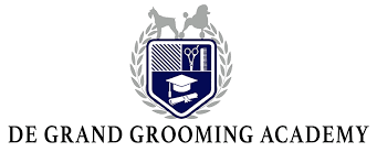 It is great for childcare company, day care center, preschool agency, kindergarten. De Grand Grooming Academy