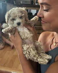 sarah buteau (@sarah.buteau) • Fotos y videos de Instagram