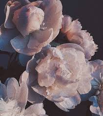 cindy kimberly, lines and art