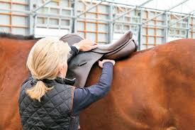 my saddle doesnt fit my horse now what the horse