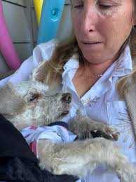 Once upon a time, a girl fell in love with a dog, and then made that her  entire career, hobby, and personality… and they lived happily ever after.  🐕🥰