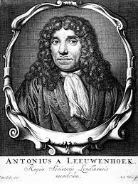 Anton Van Leeuwenhoek Dutch Pioneer Of Microscopy C1660 It Was Probably As A Result Of His Use Of Lenses In Examining Cloth As A Anton Van Biodiversity Arcanum