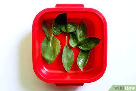 How To Store Fresh Basil In Olive Oil 6 Steps With Pictures