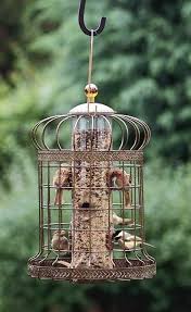 When my wife got a cute bird feeder as a gift a few years back, who would have thought it needed to be a squirrel proof bird feeder as well. Mazztuinmeubelen Inspiratie Decoratie Diy Winter Vogel Tuin Squirrel Proof Bird Feeders Unique Bird Feeders Bird Feeders
