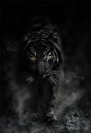 Pin By Jordan Nemelka On منشوراتي المحفوظة Animals Beautiful Animals Majestic Animals