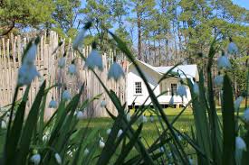 Pin By Life In Pi On Hobcaw Barony Pawleys Island Historic Structures Pictures