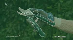 Daimler intranet von zuhause login portal pages are updated regularly by the i. Akku Gartenschere Im Gebrauchstest Youtube