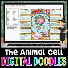 Our custom writing service is a reliable solution on your academic journey that will always help you if your deadline is too tight. Animal Cell And Organelles Digital Doodle Science Digital Doodles