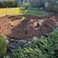 Native Plants in Your Garden: A Workshop