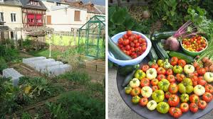 Comment Produire 300 Kg De Legumes Dans Un Potager De 25m2 Reponse Avec Joseph Chauffrey Jardins Urbains Systeme Aquaponique Potager Permaculture