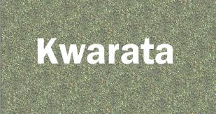 Son zuciya episode 27 latest hausa novel s january 28 2021. Kwarata 75 2g Novels