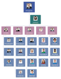 Sales Organizational Chart