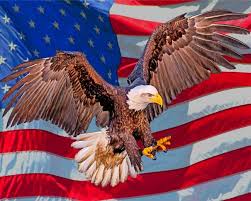 Check spelling or type a new query. Aesthetic Eagle And Flag Paint By Number Numpaint Paint By Numbers