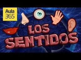 Dirigida a la formación integral de los niños y niñas desde el punto de vista físico, estético, intelectual, moral y laboral por una parte, y por otra. Explorando Los Sentidos La Ensenanza De Los Cinco Sentidos Es Importante En Los Grados Pr Los Cinco Sentidos Los Sentidos Para Ninos Organos De Los Sentidos
