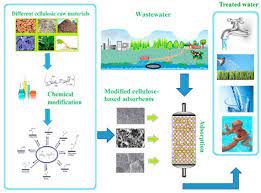 Maybe you would like to learn more about one of these? Cellulose An Overview Sciencedirect Topics