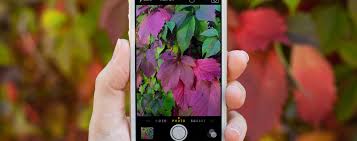 Open the photos app and navigate to the iphone video you want to crop. How To Crop Pictures On Iphone Without An Editing App