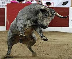 Toro Ganaderia Victorino Toros De Lidia Toros Bravos Toros Y Toreros