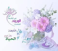 صباح الخير الورود هى الطبيعة الصامتة النابضة بكل انواع الحياة beautiful morning my design arabic quotes