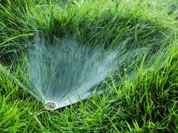 In particular, you should do it between 4 and 10 in the morning. How To Find Lawn Sprinkler Irrigation Valves