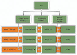 Rare Publix Organizational Chart Publix Organizational