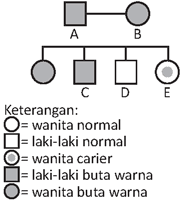 Contoh Soal Skb Tenaga Pendidik Skb Guru Biologi Cpns 2019 Biologi Guru Belajar
