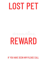 Choose from 1,123 printable design templates, like lost cat posters, flyers, mockups, invitation cards, business cards, brochure,etc. Lost Pet Stock Illustrations 624 Lost Pet Stock Illustrations Vectors Clipart Dreamstime