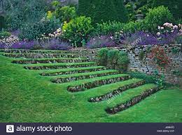 grass steps with a border of flowers growing along the terrace in the stock photo 138072800 alamy in 2021 sloped backyard garden steps tuscan garden