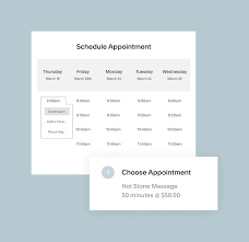 Online appointment scheduling software provides customers with a portal to book an appointment online, and enables businesses to track and manage those appointments. Acuity Online Appointment Scheduling