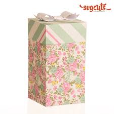Download Gift Boxes Svg Kit 6 99 Svg Files For Cricut Silhouette Sizzix And Sure Cuts A Lot Svgcuts Com