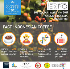 Mppa is one of the dominant retailers in the fast moving consumer goods (fmcg) sector in indonesia. 2019 Remarkable Indonesian Coffee
