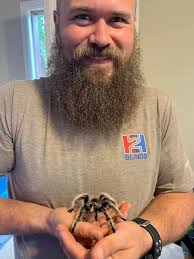 Tarantula for photoshoot in Calgary