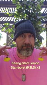 Stephen Edward Sayer